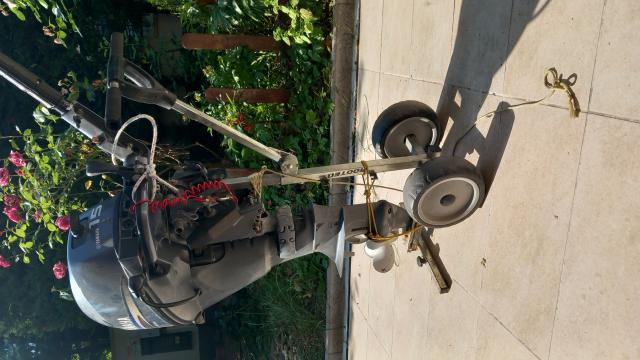YAMAHA 15le