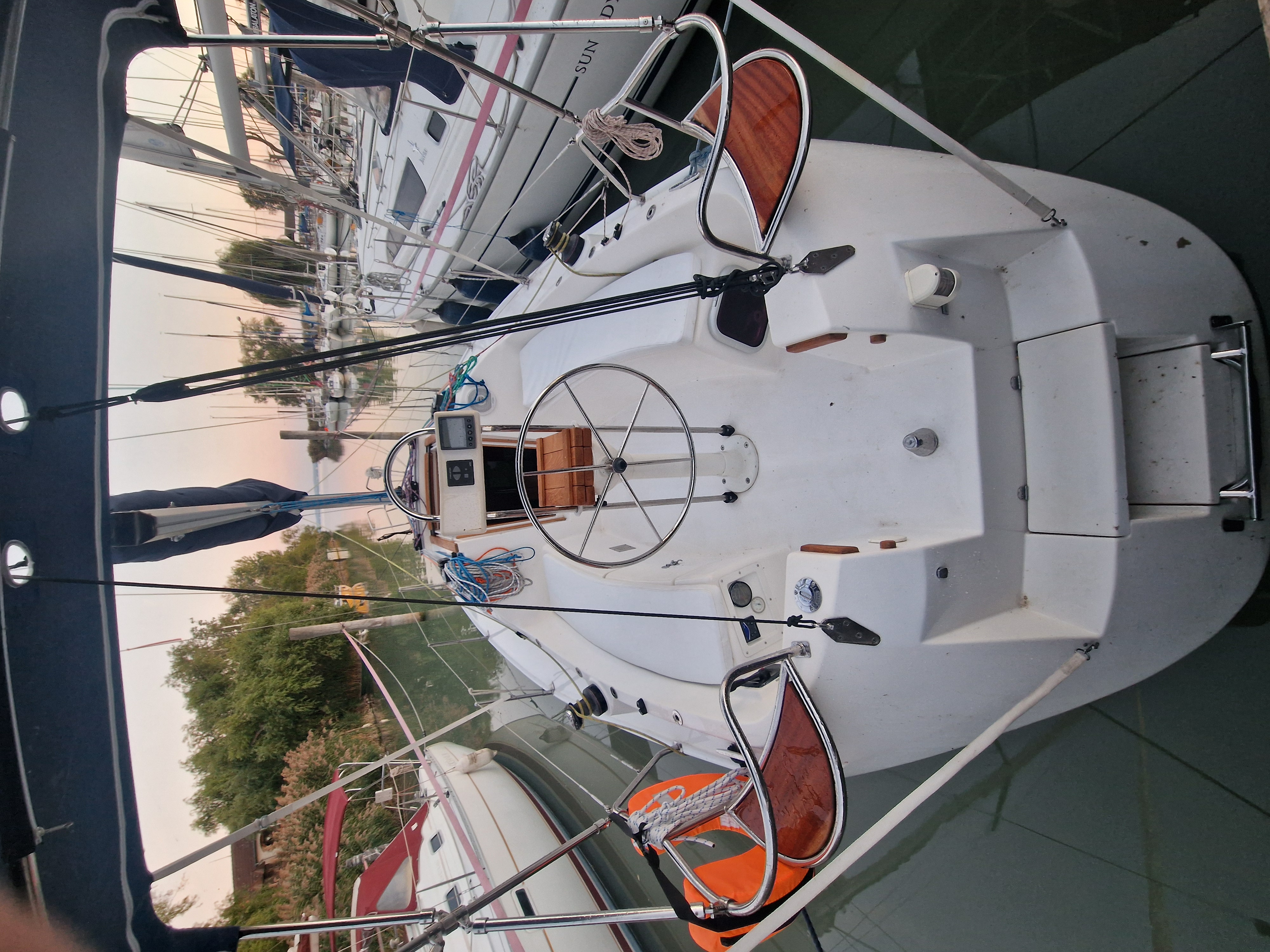 Balaton 295