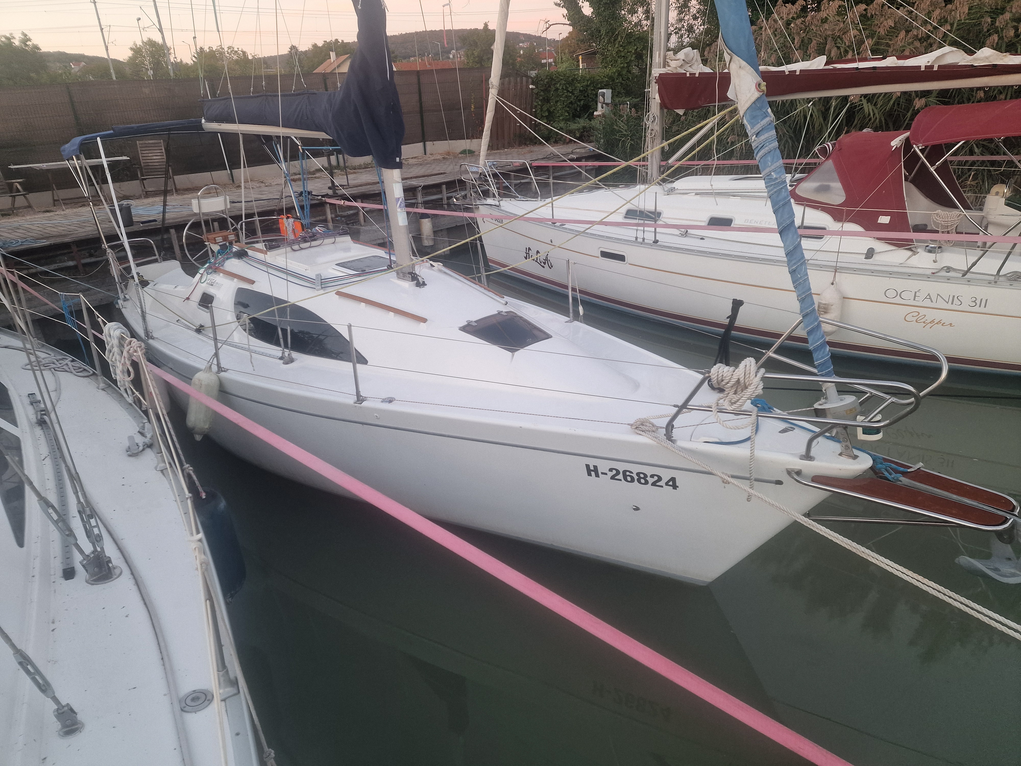 Balaton 295