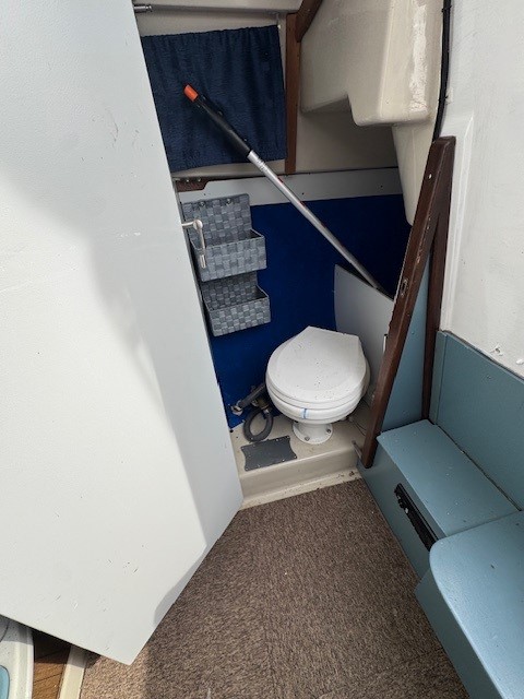 Eladó Dehler Delanta