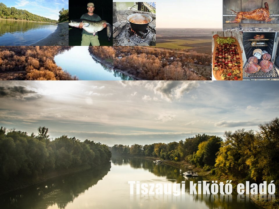 Eladó a Navigátor Kikötő Tiszaugon