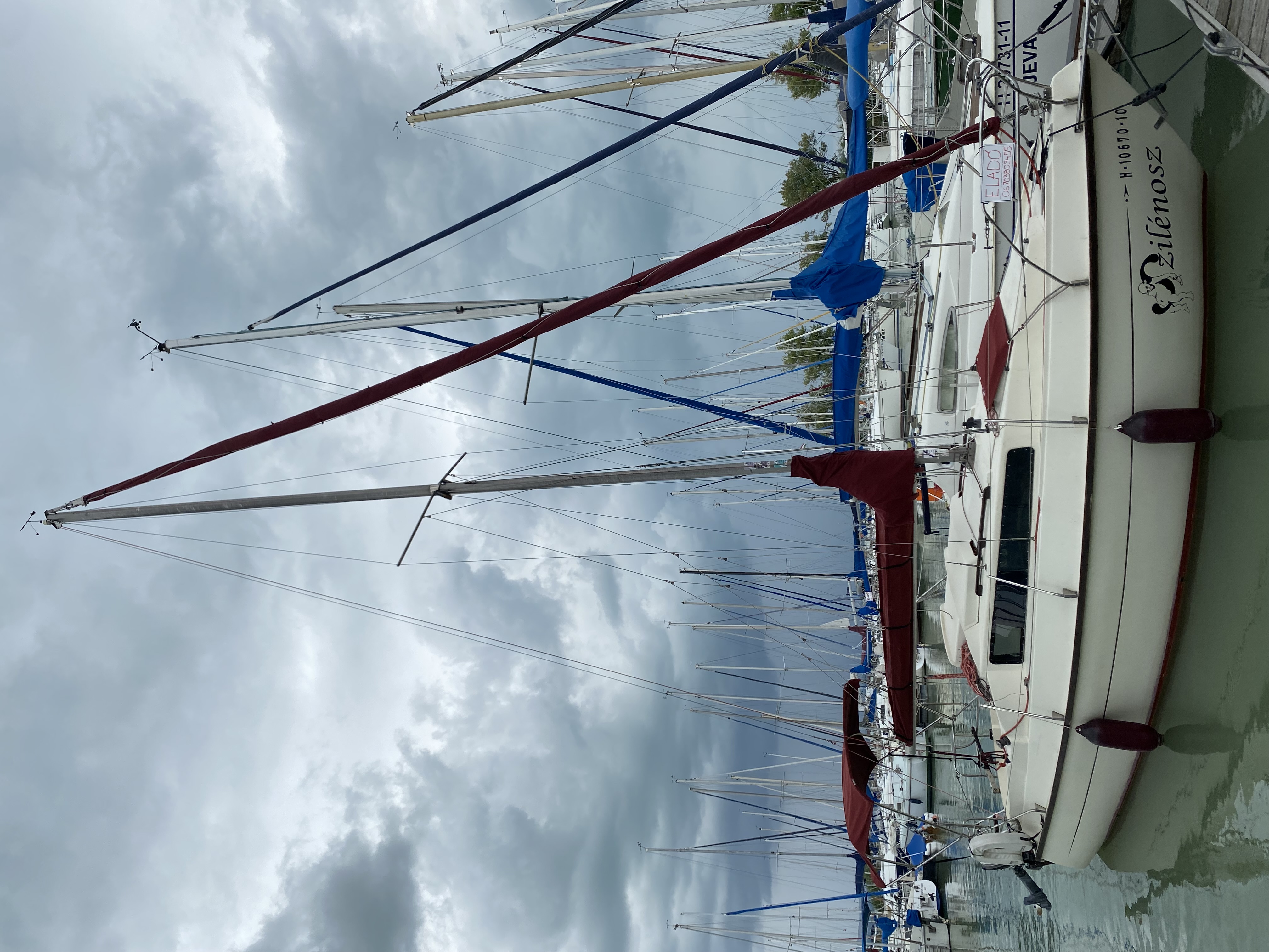 REBELL SEASKIP