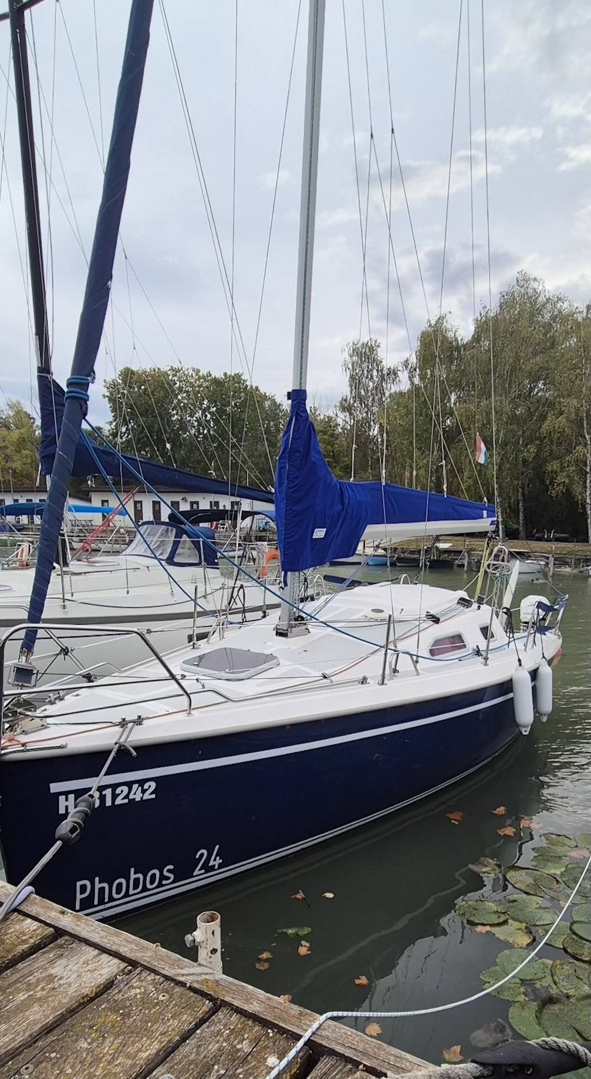 Dalpol Phobos 24 vitorlás