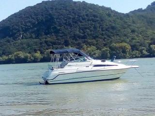 Campion Victoria 797
