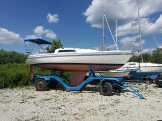 Regina 30