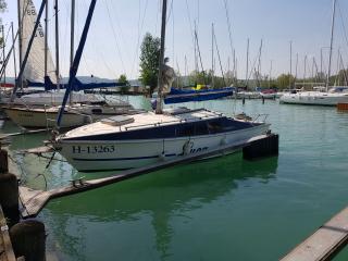 Lamantin 650