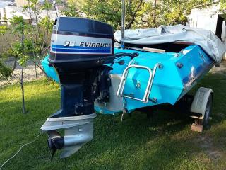 Evinrude 75 LE
