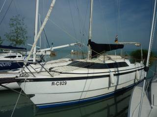 Mecregor 26