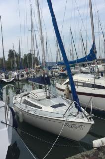 Eladó Sudár Regatta