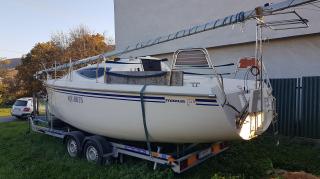 MAXUS 24