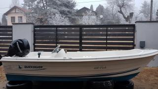 Quicksilver Fish 440