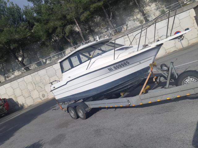 Bayliner Trophy