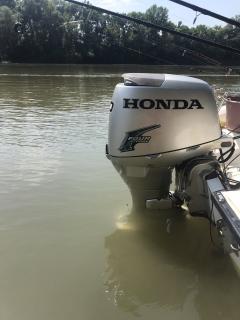 HONDA BF 50