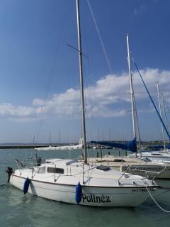 Rebel Seaskip 25