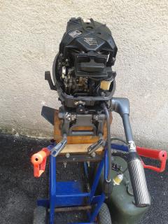 Mariner /Mercury / 9.9 Hp