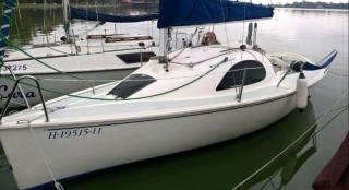 Scholtz 22 turing