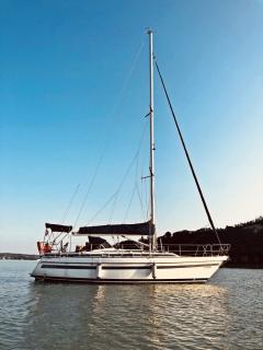 Sunbeam 36