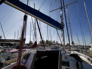 Balaton B 31