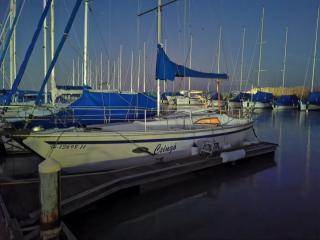Balaton B 31