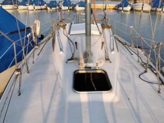 Balaton B 31