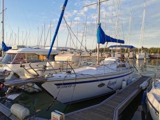 Balaton B 31