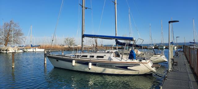 Eladó Leguán 33 vitoráshajó