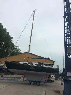 Albin marine vega tur 80