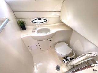 Bayliner 245 SB 4.5 50 üzemórás motorral