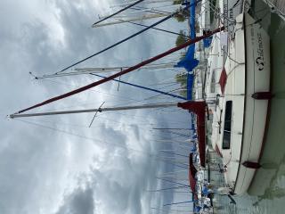 REBELL SEASKIP
