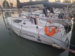 Balaton 295